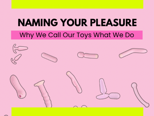 Naming Your Pleasure: Why We Call Our Toys What We Do